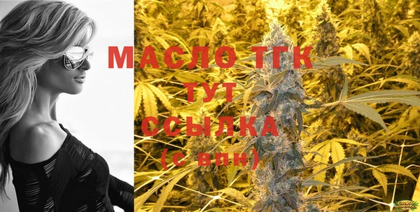 гидра Малоярославец