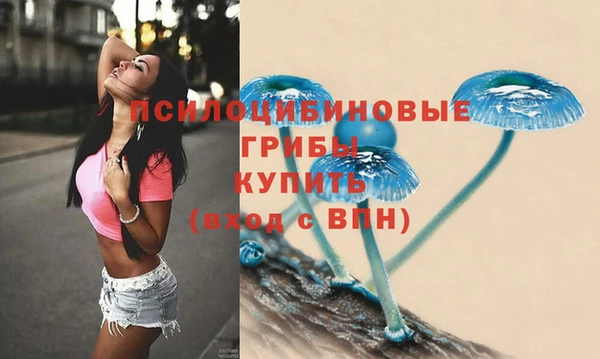 прущий лед Тихвин