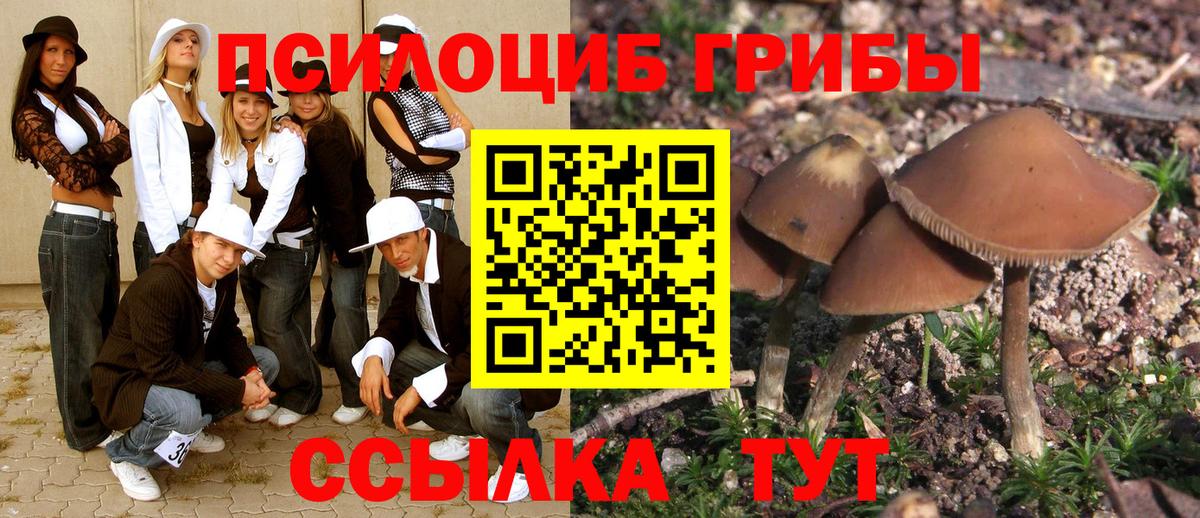 Псилоцибиновые грибы ЛСД Углич